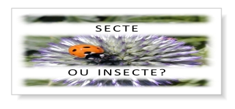 Accès au texte et téléchargement du circulaire